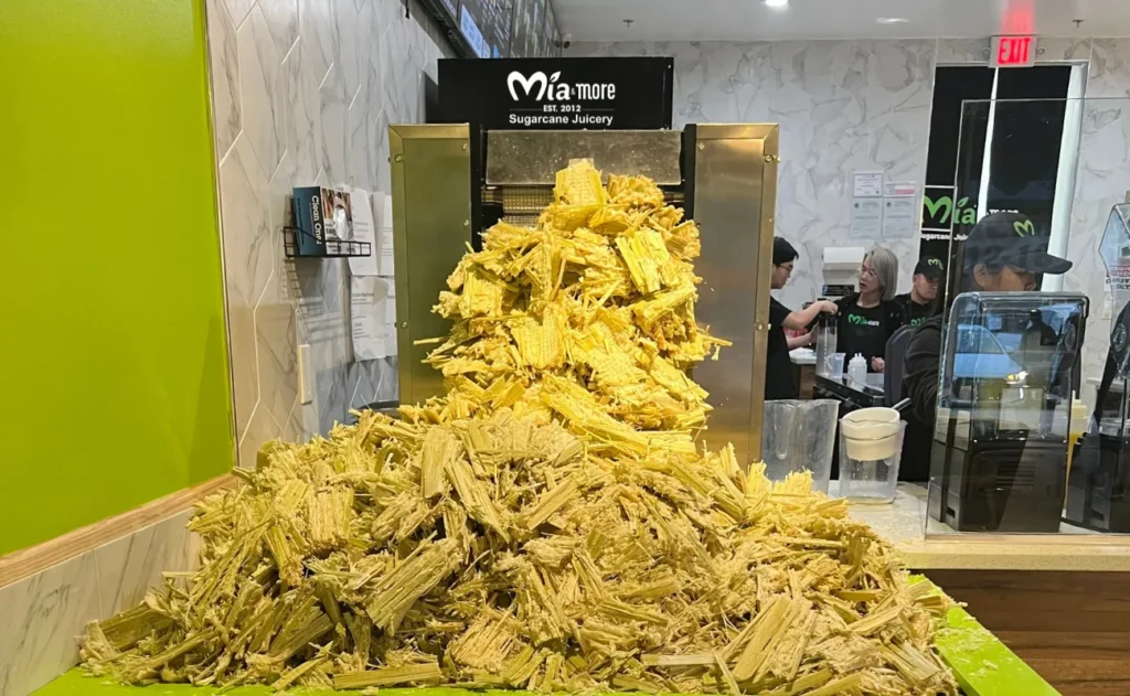 High performance of the Mía & More sugarcane juicer