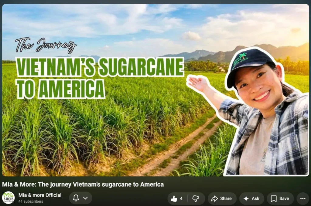 Mía & More The journey Vietnam’s sugarcane to America
