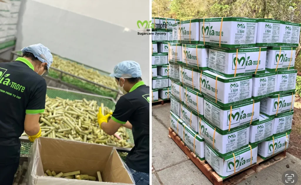 Packaging and shipping Mia and More sugarcane products