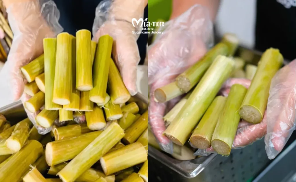 Fresh sugarcane juice pieces for the Press-to-Order process